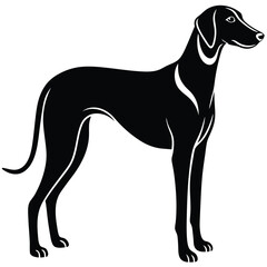 blound hound vector