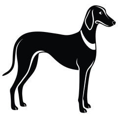 blound hound vector