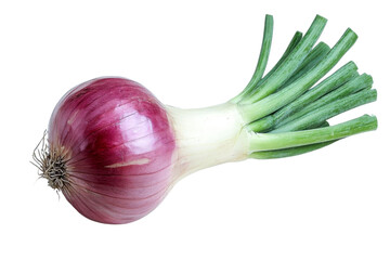 red onion with green stalks - isolated on black