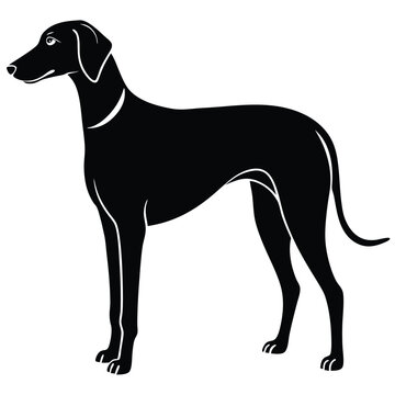 blound hound vector