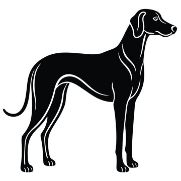 blound hound vector