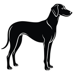 blound hound vector