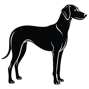 blound hound vector