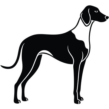 blound hound vector