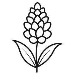 black and white flower