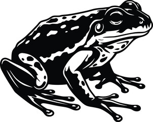 Naklejka premium Black and white detailed illustration of a frog in a crouching stance with large eyes