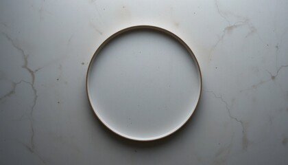 Minimalist white plate on marble surface food presentation indoor top-down view culinary art