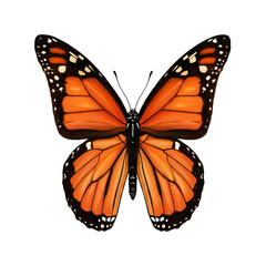 Obraz premium Detailed Close-Up of a Monarch Butterfly Wing_ Nature's Artistry Unveiled