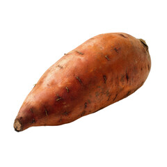 A whole sweet potato with a smooth, reddish-brown skin and a tapered shape, showcasing its natural imperfections.