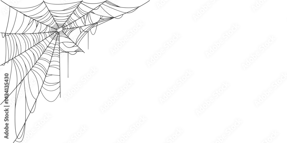 Poster spider web line art vector frame