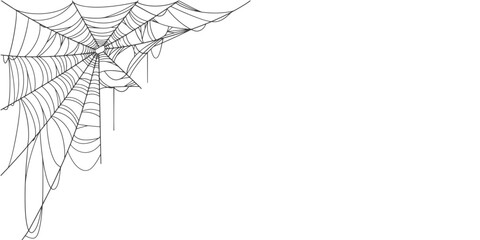 Spider web line art vector frame