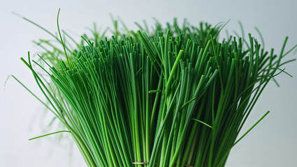 Freshly Picked Chives Bunch Culinary Herb Close Up Detail Against White Backdrop
