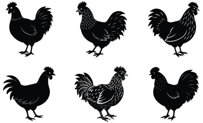 Silkie chicken domestic animal silhouette black vector art set design