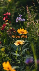 Obraz premium A vibrant display of wildflowers growing wild and free.