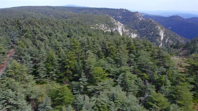Aerial flyover above the Forets des Cedres, in Luberon France - Provence