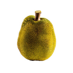 A vibrant jackfruit with a textured, spiky surface and a prominent stem.