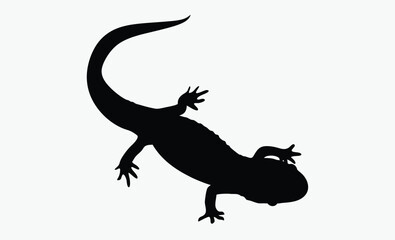 Salamander silhouette, salamander line art silhouette vector illustration 