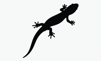 Salamander silhouette, salamander line art silhouette vector illustration 