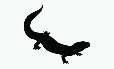 Salamander silhouette, salamander line art silhouette vector illustration 