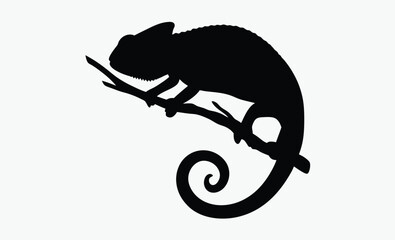 Chameleon silhouette, Chameleon vector silhouette illustration isolated on a white background 