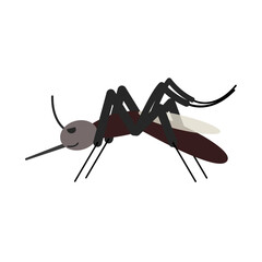 Mosquito illustration, clipart, isolated on white background