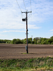 Power supply cables and wooden pole above ground crossing open farmland
