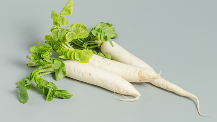 White turnips isolated on grey