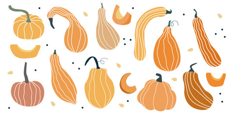 Hand drawn pumpkin. Autumn harvest squash illustration for fall decor, crafts, Thanksgiving invitations, recipe cards and stickers.
