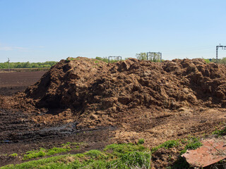 Giant pile of horse manure stacked high in the field