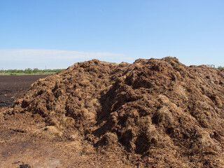 Giant pile of horse manure stacked high in the field