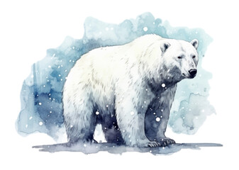 PNG Wildlife mammal animal bear.