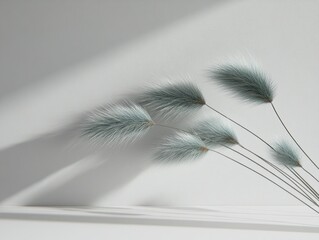 Fluffy plant stems against a blank wall and shelf