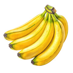 Bunch of bananas png yellow bananas png tropical fruit png transparent background image