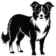 boorder collei vector