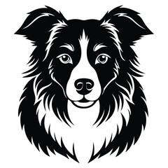 boorder collei vector