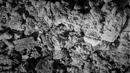 Burnt wood and ashes from extinguished campfire. Charcoal texture background in black and white....