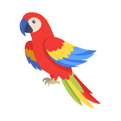 Parrot: The Colorful Birds of the Tropics