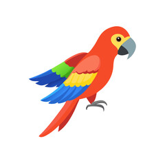 Parrot: The Colorful Birds of the Tropics