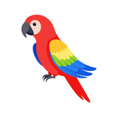 Parrot: The Colorful Birds of the Tropics