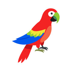 Parrot: The Colorful Birds of the Tropics