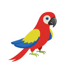 Parrot: The Colorful Birds of the Tropics