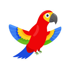 Parrot: The Colorful Birds of the Tropics