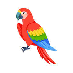 Parrot: The Colorful Birds of the Tropics