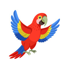 Parrot: The Colorful Birds of the Tropics