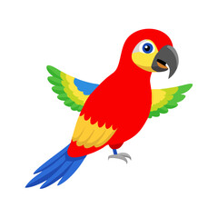 Parrot: The Colorful Birds of the Tropics