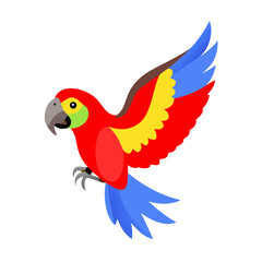 Parrot: The Colorful Birds of the Tropics