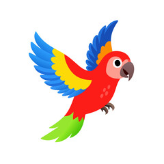 Parrot: The Colorful Birds of the Tropics