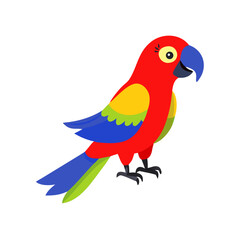 Parrot: The Colorful Birds of the Tropics