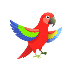 Parrot: The Colorful Birds of the Tropics