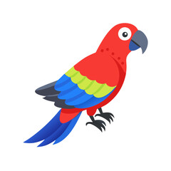 Parrot: The Colorful Birds of the Tropics